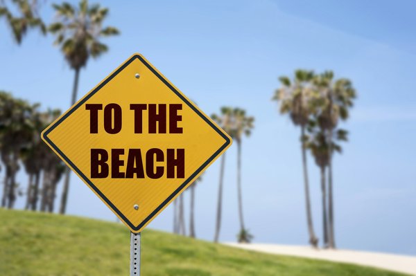 What's the best way to spot and report wildlife trafficking in the UK?